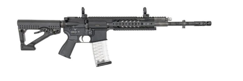 RS556 - Rheinmetall und Steyr Mannlicher bieten neues Sturmgewehrsystem ...